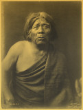 Maricopa