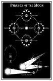 Buy Phases of the Moon at AllPosters.com
