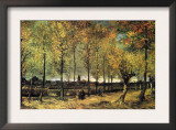 Lane with Poplars