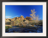 Oak Creek Running Before Cathedral Rocks, Red Rock Crossing, Sedona, Arizona, USA