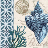 Trade Wind Whelk