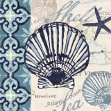 Trade Wind Scallop
