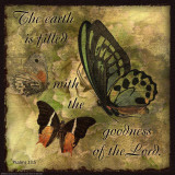 Butterfly Sentiments…The Earth