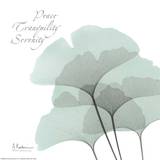 Buy Ginkgo Sea I at AllPosters.com