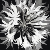 Radiance II