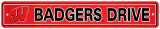 University of Wisconsin Street Sign Wall Sign