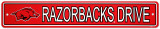 University of Arkansas Street Sign Wall Sign