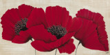Linen Poppies II