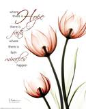 Hope Tulips Red