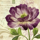Buy Study in Purple II at AllPosters.com