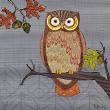 Awesome Owls II