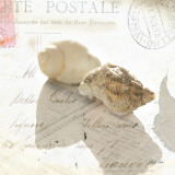 Buy Postal Shells I at AllPosters.com