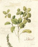 Aromatique III Art Print