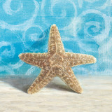 Gifts from the Sea III