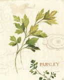 Aromatique I Art Print