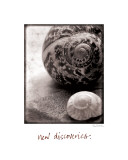 New Discoveries