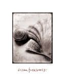 Ocean Treasures