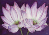 Lotus Love