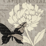 Buy Natural Prints I at AllPosters.com