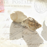 Postal Shells I