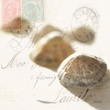 Buy Postal Shells IV at AllPosters.com