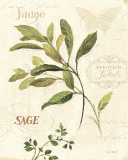 Buy Aromatique IV at AllPosters.com