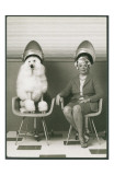Coneheads Lady and Poodle in Dryers, France