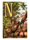 Buy N For the Nut That He Cracks With a Grin at AllPosters.com