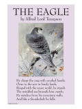 Buy The Eagle at AllPosters.com