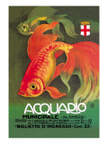 Acquario