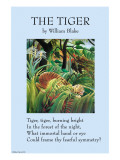 The Tiger