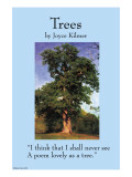 Buy Trees at AllPosters.com