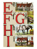 Buy E, F, G, H, I Illustrated Letters at AllPosters.com