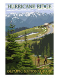 Hurricane Ridge, Olympic National Park, Washington