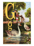 Buy G For the Goose That Swims In the Pond at AllPosters.com