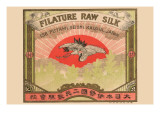 Filature Raw Silk