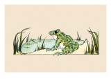Pond Frog