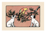 Snip And Snap And the Poll Parrot