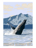 Prince Rupert, BC Canada - Humpback Whale