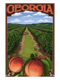 Buy Georgia - Peach Orchard Scene at AllPosters.com