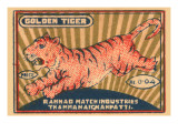 Golden Tiger