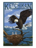 Bald Eagle & Chicks - Ketchikan, Alaska