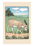 Brother Bill the Billy Goat