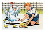 Feeding the Chickens