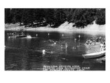 Los Angeles, California - Crystal Lake Recreation Camp Premium Poster