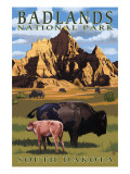Badlands National Park, South Dakota - Bison Scene