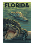 Florida - Alligators