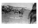 Calgary, Canada - Bucking Horses at the Stampede