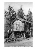 Alaska - Richardson Hwy; A Trapper's Cache