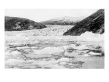 Buy Alaska - View of Taku Glacier at AllPosters.com